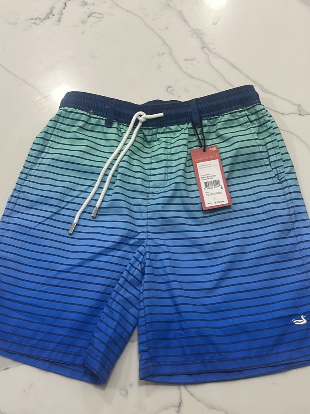 Southern Marsh Blue to Teal Gradient Stripe Swim Trunks